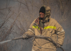 Ущерб от пожара в астраханском заповеднике оценили в 500 миллионов 