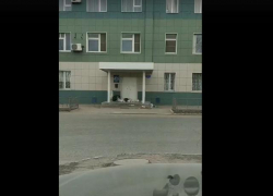 Недовольные астраханцы выкинули мусор перед офисом регионального оператора по вывозу ТКО