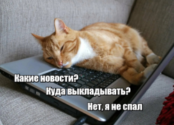 Только 19% опрошенных астраханцев считают себя ленивыми