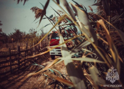 В Астрахани предложили создать площадки для сбора древесных отходов