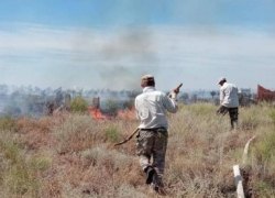 В одном из астраханских сёл загорелось кладбище