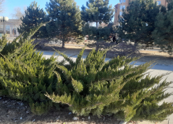 Прогноз погоды, именины, праздники в Астрахани 7 марта