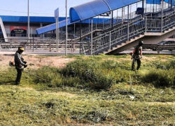 В Астрахани скосили свыше 446 тысяч «квадратов» камыша и сорной травы