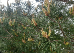Прогноз погоды, именины, праздники в Астрахани в понедельник 1 мая