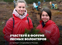 Молодых астраханцев приглашают на форум лесных волонтёров