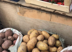Какие нынче цены на прилавках астраханских ярмарок 