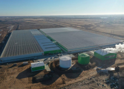 Под Астраханью строят тепличный комплекс с автоматикой для выращивания овощей