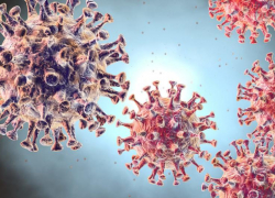 За 5 октября в Астраханской области выявлено 35 случаев заражения COVID-19