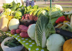 Во всех районах Астрахани открылись мини-ярмарки дачников