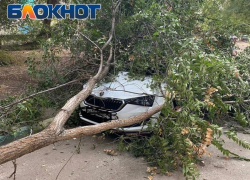 Астраханцу помяли его «Шкоду Рапид»