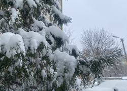 Астраханцам обещают трескучие морозы, снег и ветер