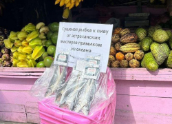 Астраханскую рыбу сфотографировали на Шри-Ланке 