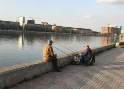 Вылов воблы катастрофически упал: почему ее добыча в Астраханской области запрещена