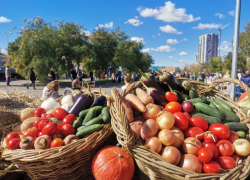 В Астрахани состоится последняя в 2025 году сельхозярмарка у стадиона