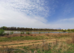 В селе Фунтово Астраханской области ликвидировали карантинный очаг