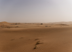 В Астрахани запустят пилотный проект по борьбе с образованием пустынь 