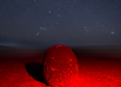 В Астраханской области нашли камень в форме огромного яйца
