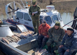 Под Астраханью поймали рыбаков с сотней килограммов осетров на борту