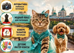 В Астрахани впервые состоится фестиваль «Пушистые модники»