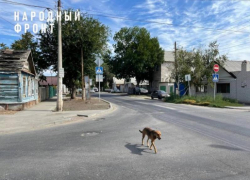 Ремонт дороги на улице Августовской обещают завершить до конца 2022 года