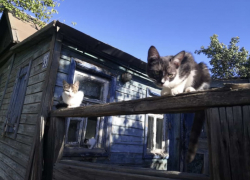 Погода, праздники, именины в пятницу 29 сентября