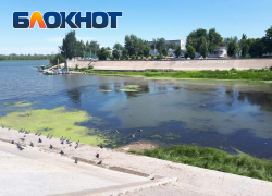 Волга в Астрахани цветет и пахнет. Опасно ли это?
