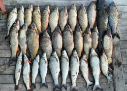 Астраханские рыбаки хотели спрятать пять тонн рыбы от пограничников