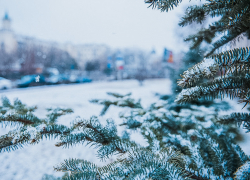 В Астраханской области провалилась под лёд 8-летняя девочка 