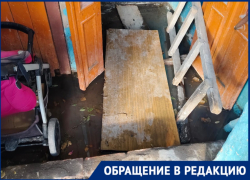 Жители дома № 56 на улице Николая Островского встретили Новый год с мышами и комарами