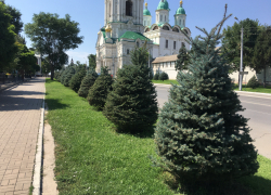 Прогноз погоды, именины, праздники в Астрахани 8 августа 