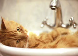 Вечером 19 мая холодную воду отключат жителям трех районов Астрахани