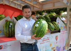 Астраханские селекционеры вывели новые сорта арбузов