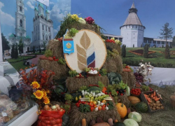 Выставка животных и фестиваль арбузов: что ждет астраханцев на агрофестивале