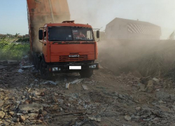 В Приволжском районе Астрахани поймали серого перевозчика