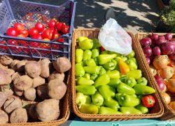 Как в конце сентября изменились цены на продукты в Астрахани 
