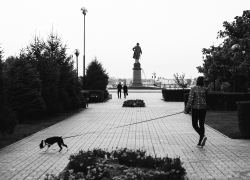 Нападал с молотком: в Астрахани задержали мужчину, ограбившего семь женщин