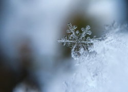 В пятницу в Астрахани ожидается снег: прогноз на 3 февраля