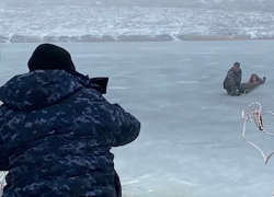 Астраханские полицейские спасли юную ростовчанку, провалившуюся под лед