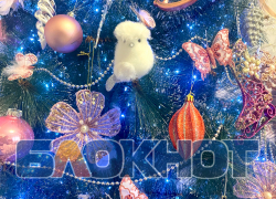 Коллектив редакции «Блокнот Астрахань» поздравляет астраханцев с Новым годом