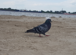 Погода, праздники, именины во вторник 12 сентября 