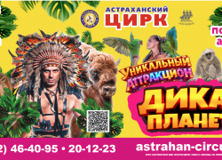 В Астраханском государственном цирке состоится премьера уникальной программы "Дикая планета" 