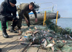 За год астраханская полиция пресекла 544 преступления в сфере рыболовства