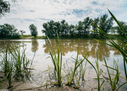 Астраханцу оторвало нос на рыбалке