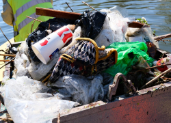 Глава Астрахани резко высказался о ситуации с городскими водоемами: чего там только нет