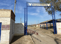 Под Астраханью известная птицефабрика начала продажу мяса