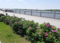 Прогноз погоды, именины, праздники в Астрахани в воскресенье 4 июня