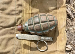 В Астраханской области женщина нашла боевую гранату времен войны в своем огороде