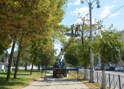 В центре Астрахани деревья массово оставляют без ветвей, их пилят