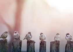 Погода, праздники, именины в четверг 14 сентября