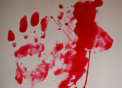 Астраханец до смерти забил пастуха